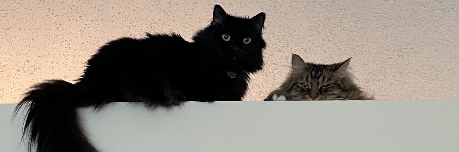 dspe37's profile banner image