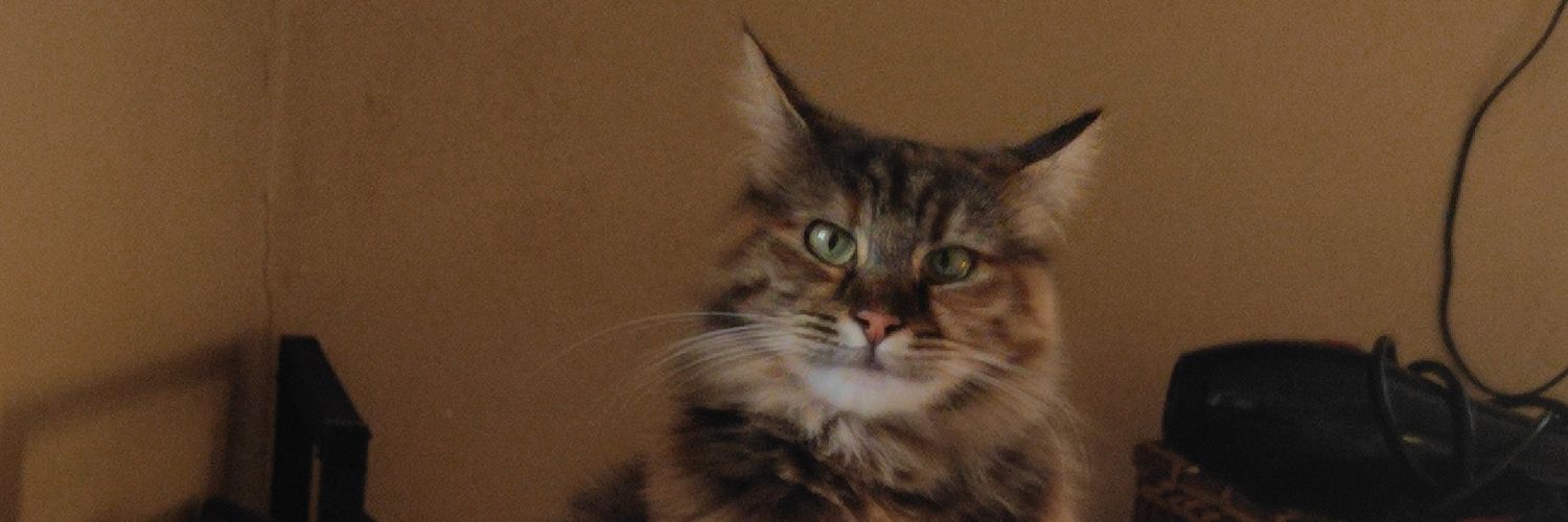 SiriusYugh's profile banner image