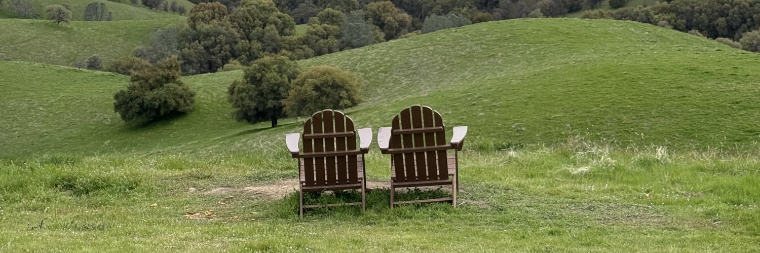anele_______'s profile banner image