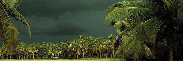 Anilkeshwania's profile banner image
