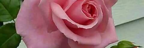 saad1968123's profile banner image