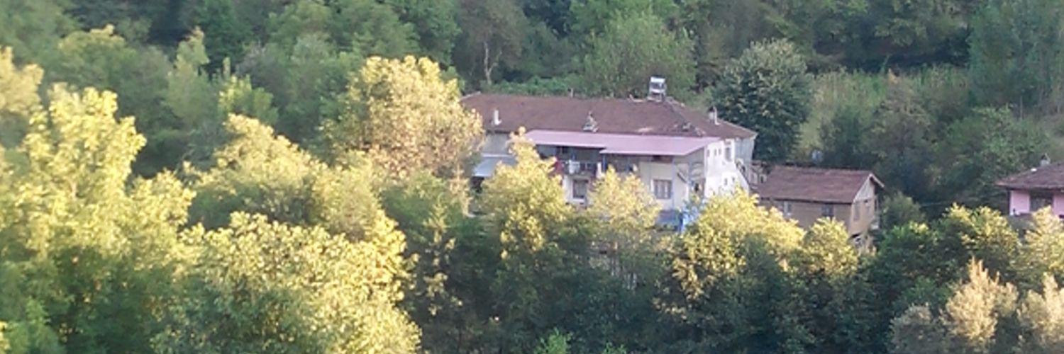 Sezerseyhan4's profile banner image