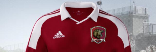 LionsFCOfficial's profile banner image