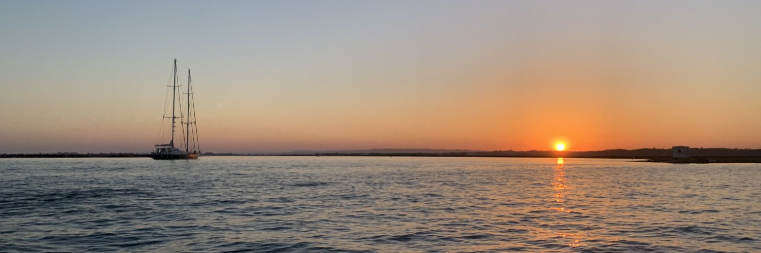 paulapam94's profile banner image