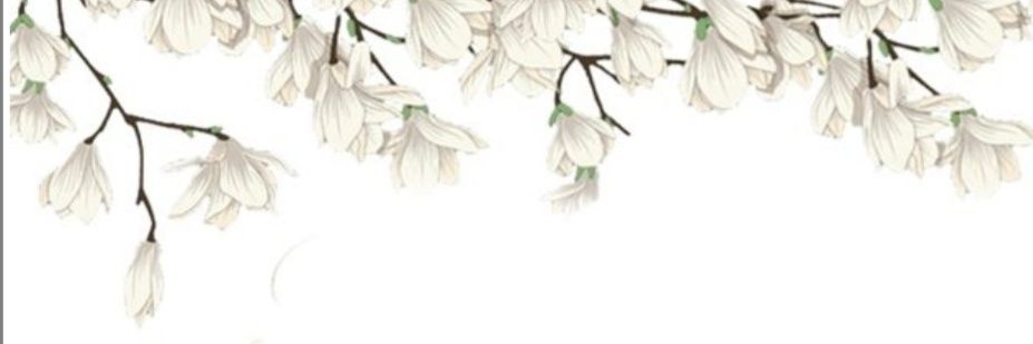 ام يوسف 🇶🇦 banner