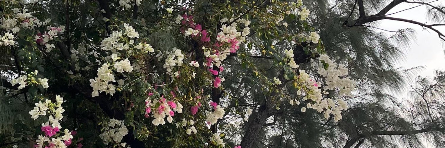 aaawwwaaaa˚.🎀༘⋆ banner