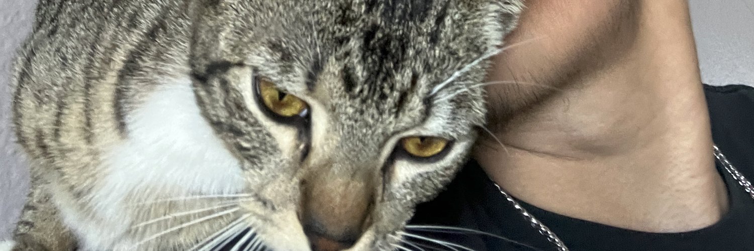 bunreeve's profile banner image