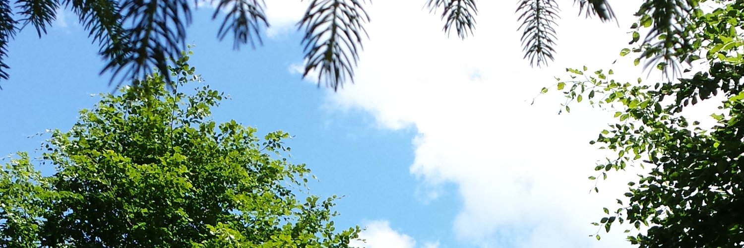 ilemiv31's profile banner image