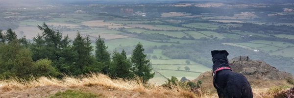 ch3zie Profile Banner