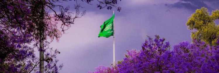 فواز القنصل banner