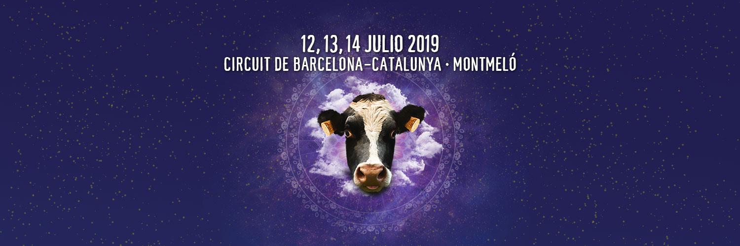 DoctorMusicFestival banner