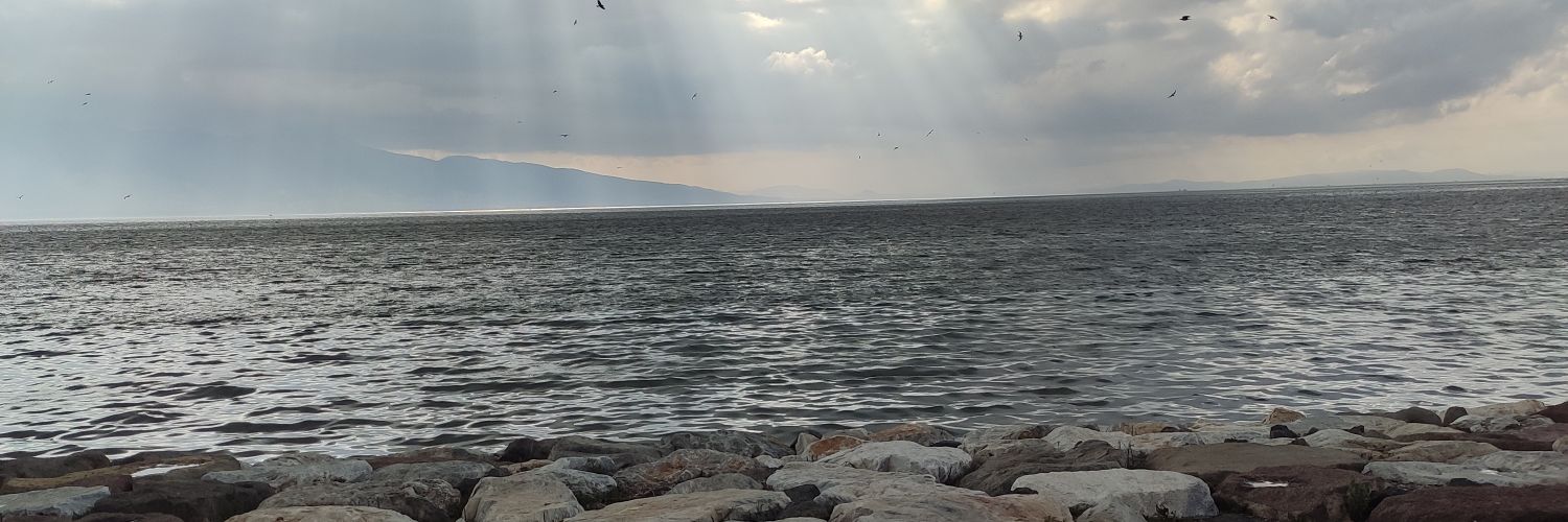 doyrnn's profile banner image