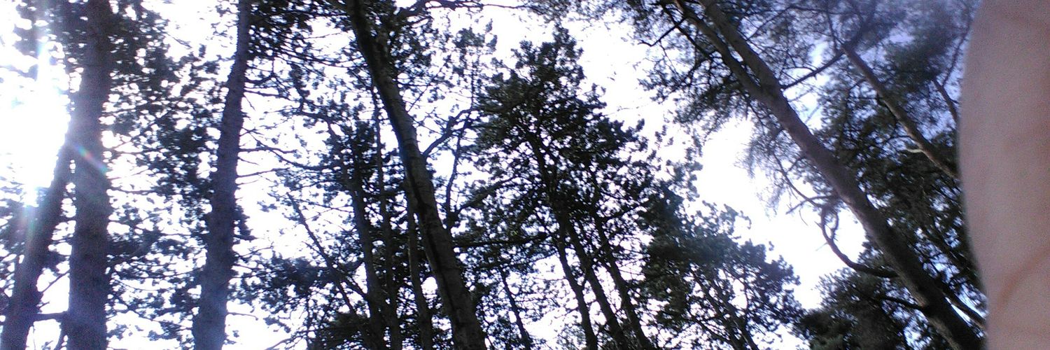 lintonlemonade's profile banner image
