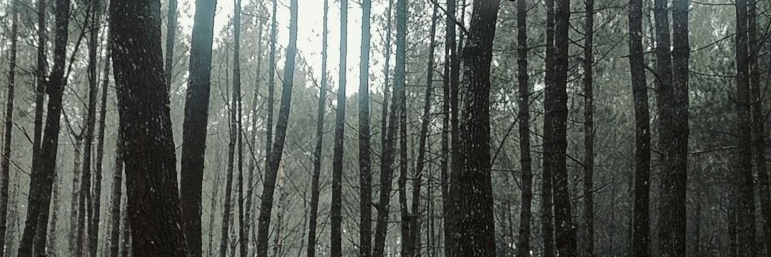rrumii_'s profile banner image