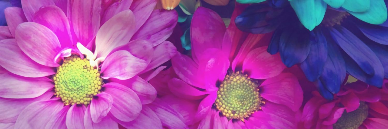 monica03's profile banner image