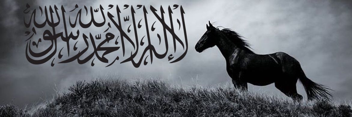 MucahidBurak's profile banner image