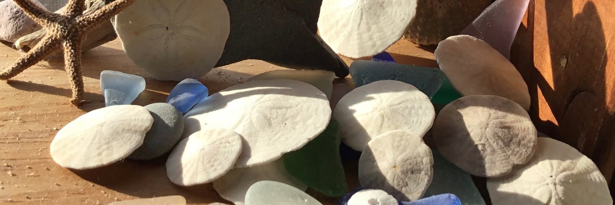 Claire Dietsche banner