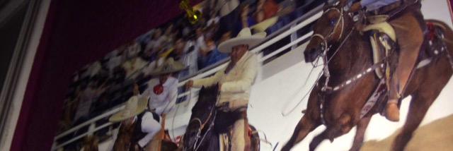 Estefany Zamarripa banner