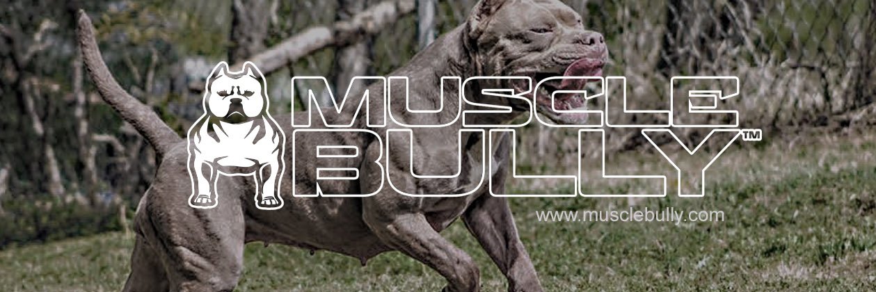 MuscleBullyUSA's profile banner image