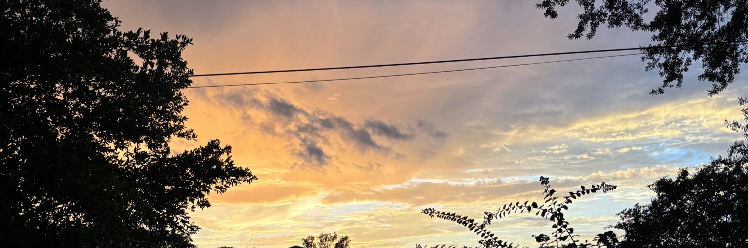 salma_x33's profile banner image