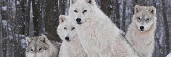 jacobmwinters Profile Banner