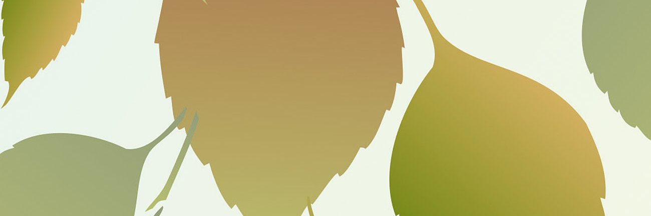 SreeVani123GD's profile banner image