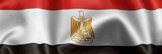 Ragab Hosny banner