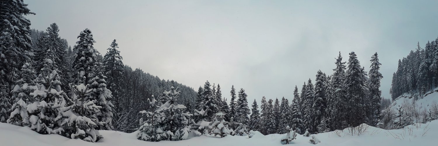 Janice Stroble banner