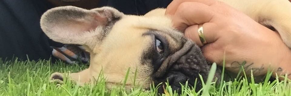 AmyJG22's profile banner image