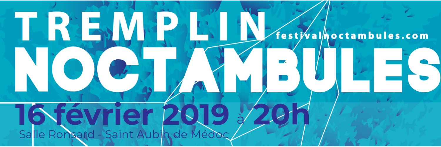 FestivalDnoctambules banner