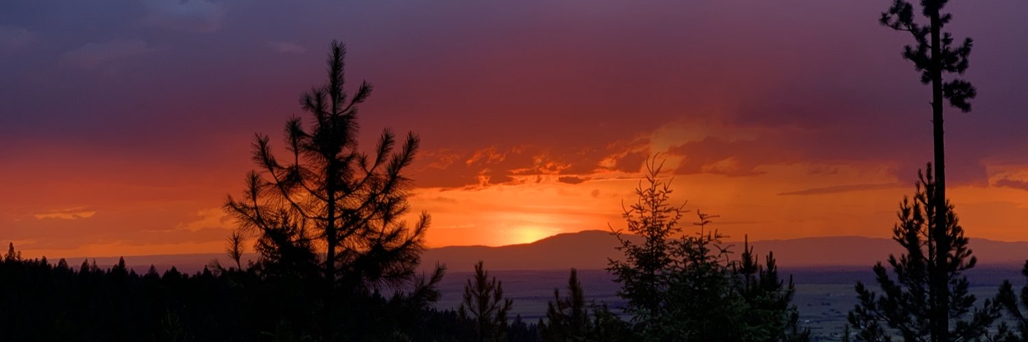 abbypullennn's profile banner image