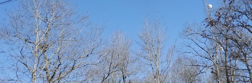 SojiTuff's profile banner image