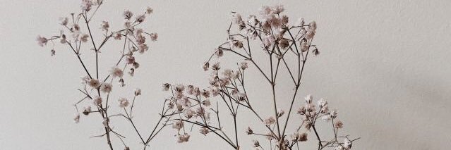 ruthshe1's profile banner image