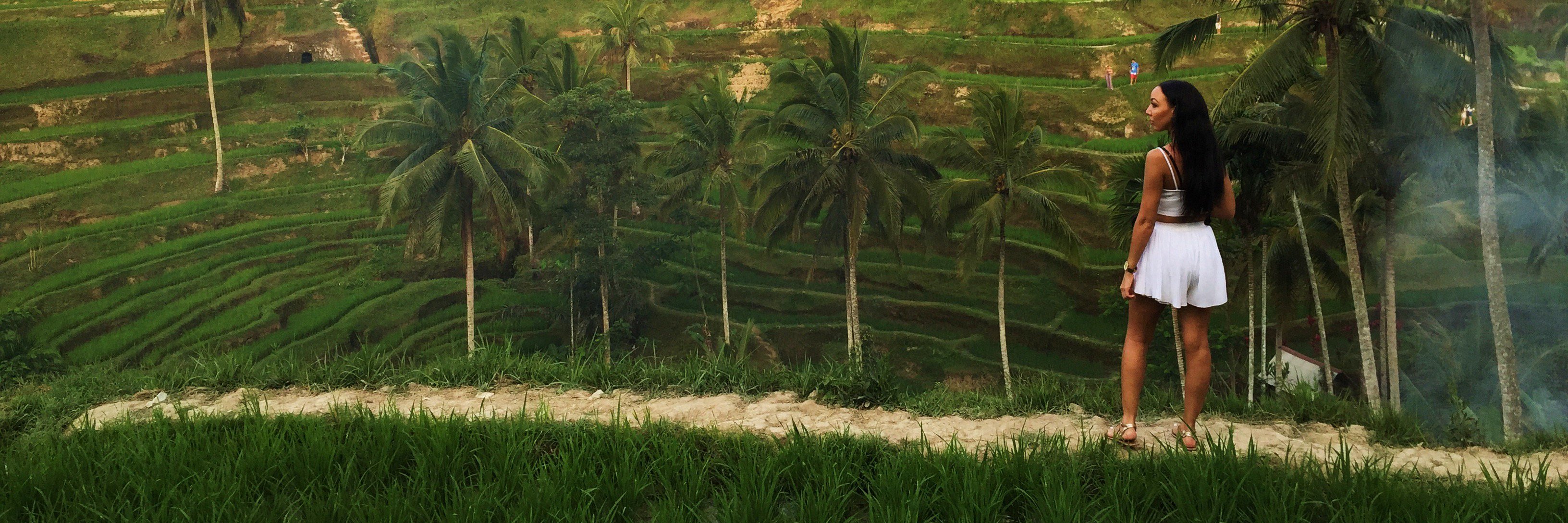 FRGNLAND's profile banner image