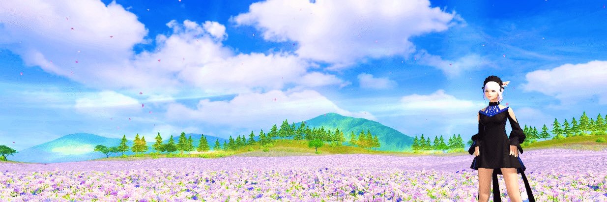 elnaslight's profile banner image