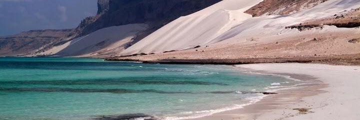 محمد الإسحاقي banner