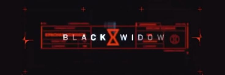 widowxsoldier's profile banner image
