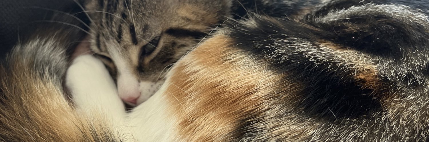 MelMel_96's profile banner image