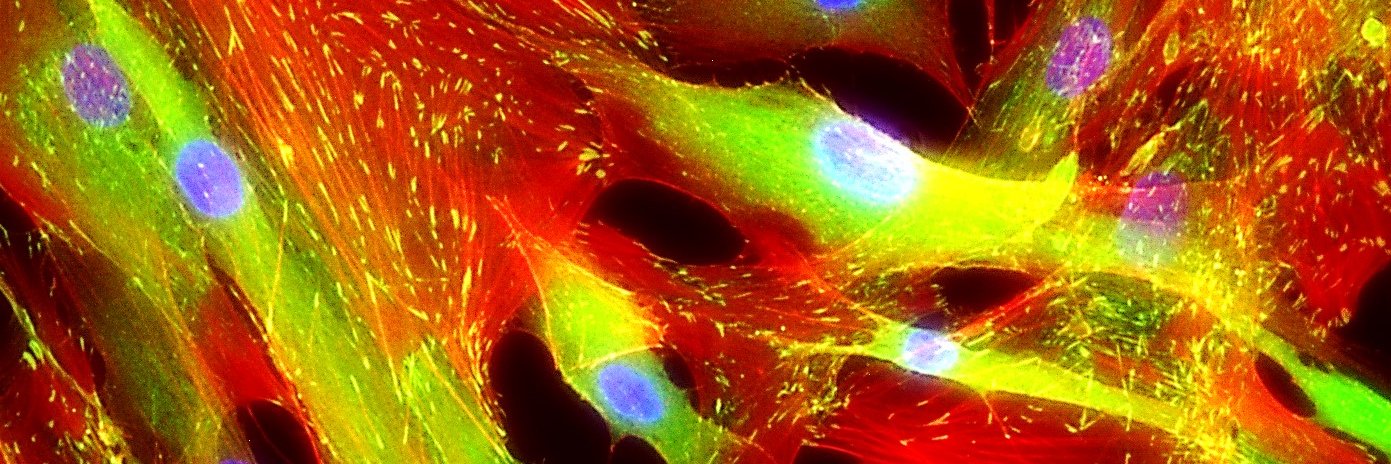 Christian LLC banner