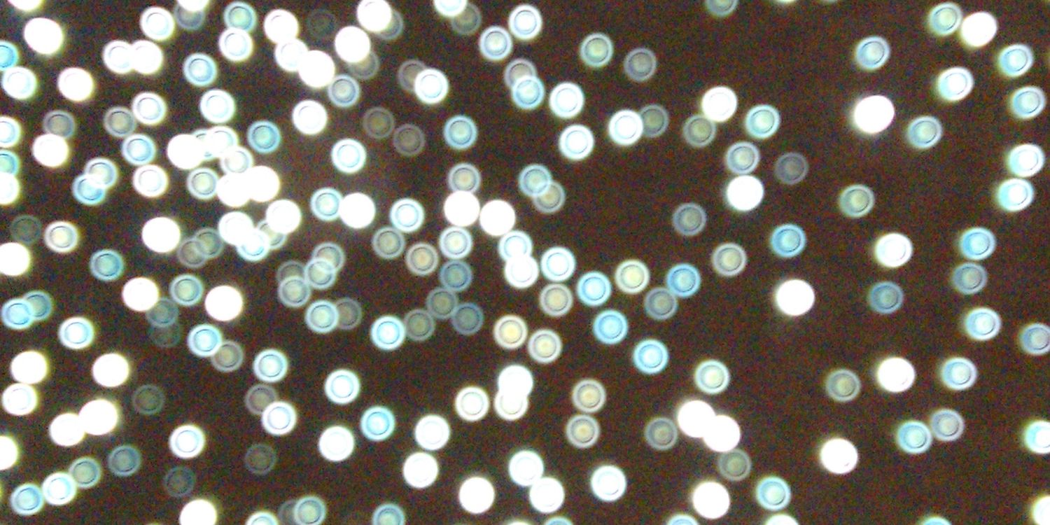 ulithescientist's profile banner image