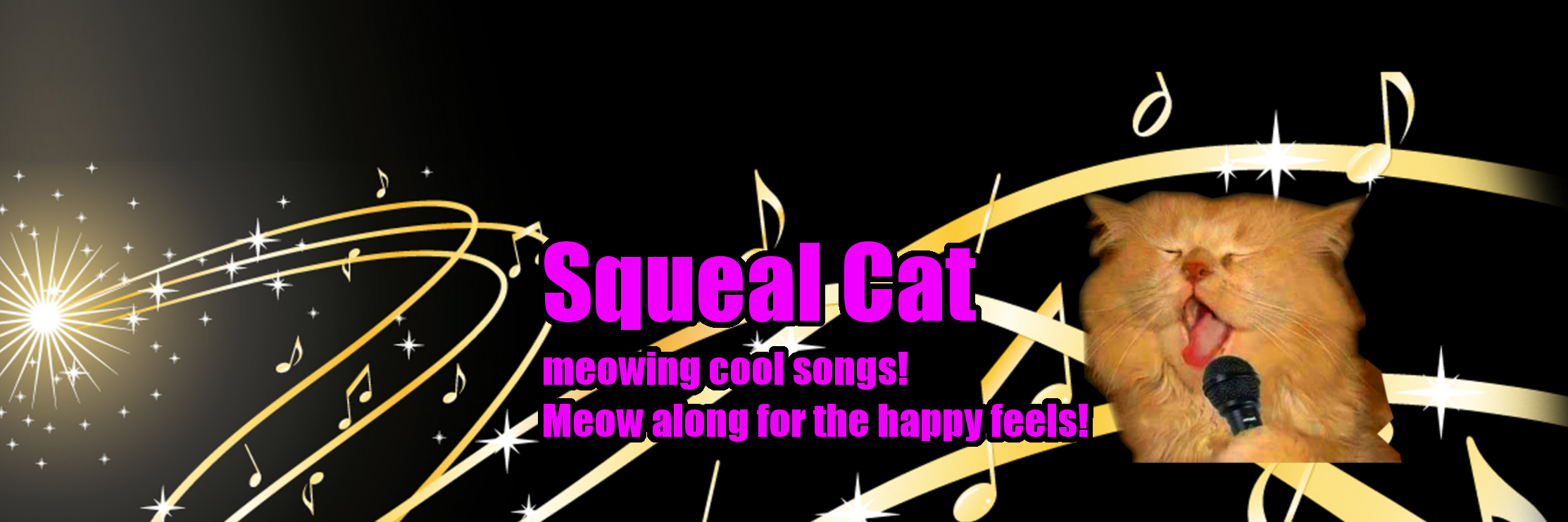 Squealcat's profile banner image