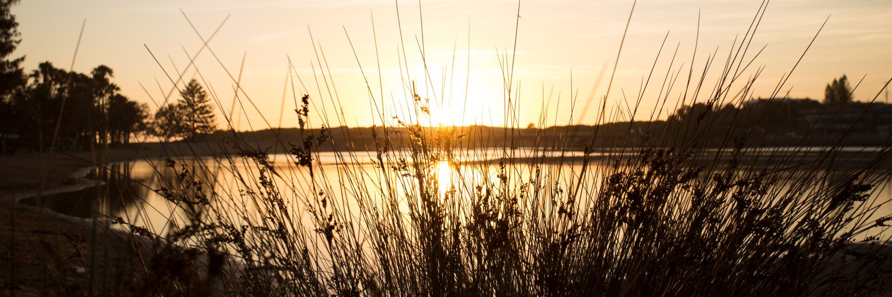 M_S_Images's profile banner image