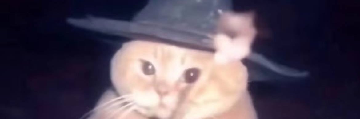 Tabasco__2's profile banner image