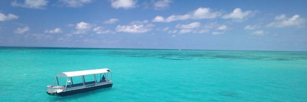 nat_meagher Profile Banner