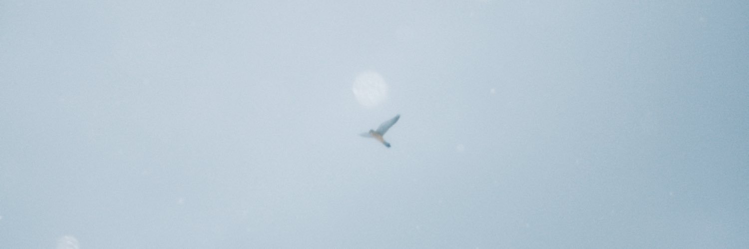 Benderek99's profile banner image