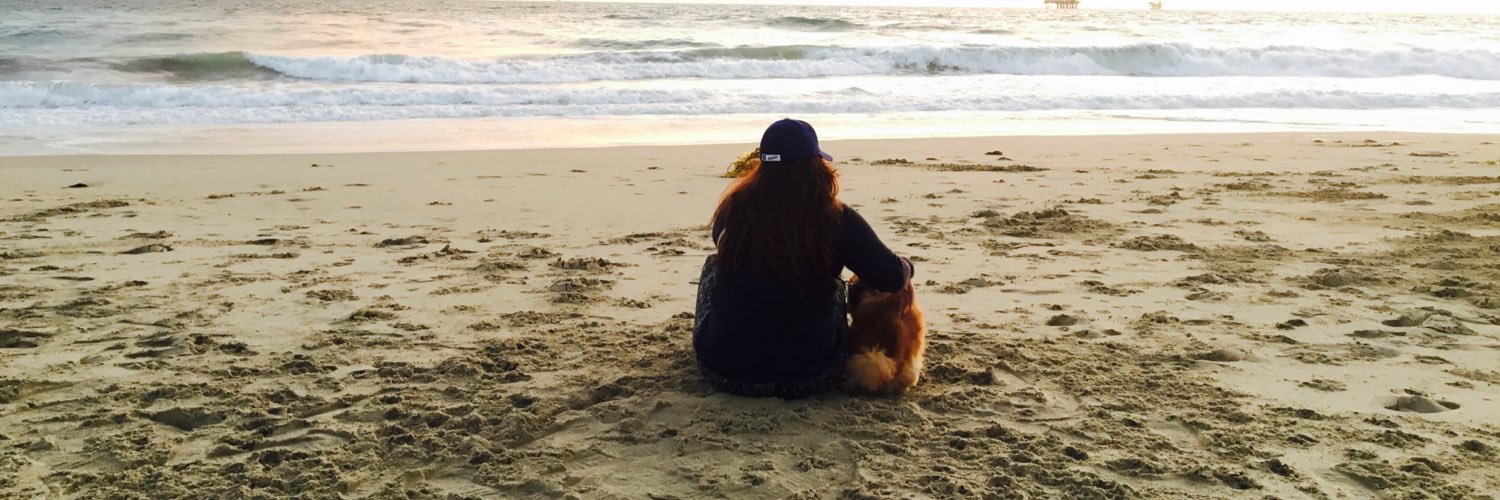 MonikaMunoz's profile banner image