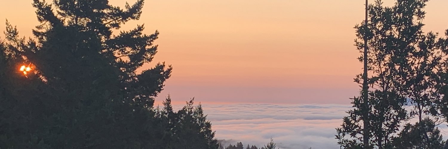 sierraaaa98's profile banner image