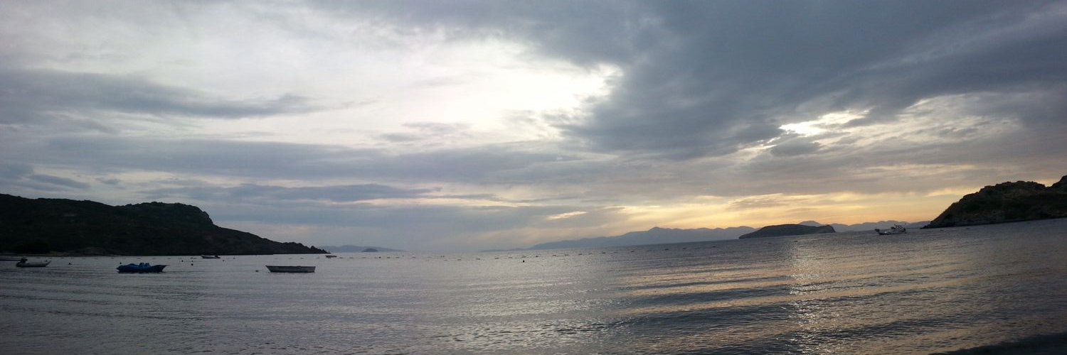 ozdurmuseda's profile banner image