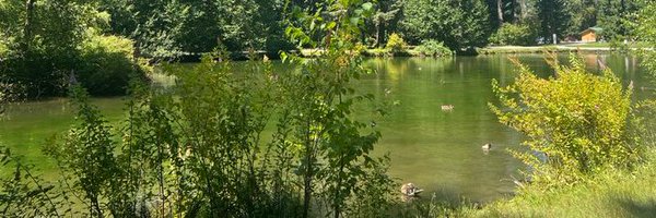 ProfAshaKanwar Profile Banner