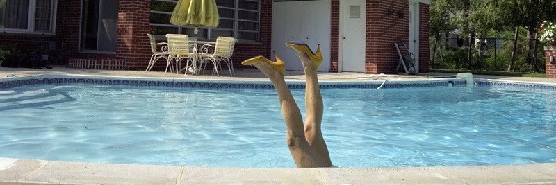 Maida Andrenacci banner